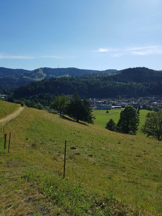 Wiesenblume Apartment Schönau im Schwarzwald Exterior foto